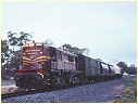 4891, The Rock