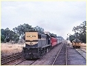 X37,Longwood