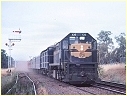 X35,Longwood