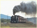 K153,Lara