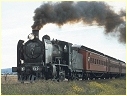 K153,Lara
