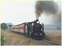 K153,Lara