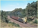 B61,Macedon