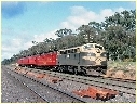 B75,Tallarook