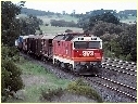 8173,Heathcote Junction
