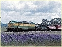 4201,1210,Albury