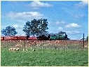 1210+3112,Springhurst