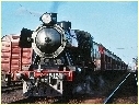 J515,Benalla