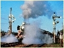 J515,Benalla