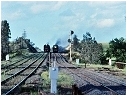 3801,R761,Tallarook