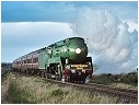3801,Beveridge