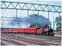 D3 639,North Melbourne