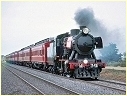 J515,Lara