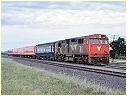 N461,Lara
