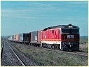 8175,Beveridge