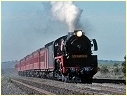 R761,Beveridge