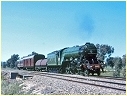 Flying Scotsman,4472, Chiltern,Springhurst