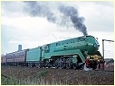 3801,South Dynon