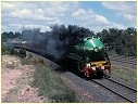 3801,Heathcote Junction