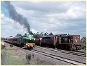 S310,T361,3801,Wandong