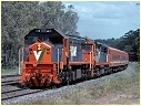X51,Tallarook