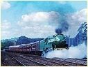 3801,Seymour