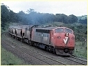 S310,T361,Kilmore East