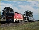 8166,Beveridge