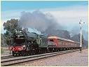4472,Flying Scotsman,Violet Town