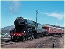4472,Flying Scotsman,Albury