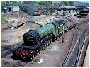 4472,Flying Scotsman,Albury