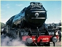 4472,Flying Scotsman,Albury