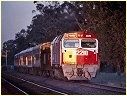 42218,Violet Town
