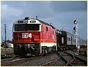 8174,Sunshine