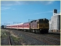 42207,Sunshine
