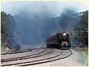 K153,Tallarook