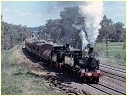 1210,3112,Seymour