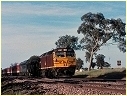 42207,Springhurst