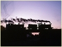1210,3112,Albury