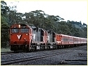 N457,Tallarook