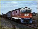 8167,Donnybrook