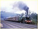 Flying Scotsman,4472,Wandong
