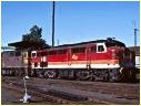 4463,8028,Albury