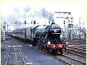 Flying Scotsman,4472,Spencer Street