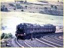 Flying Scotsman,4472,Wandong,Kilmore East