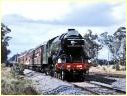 Flying Scotsman,4472,Mangalore