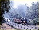 Flying Scotsman,4472,Mangalore,Avenal
