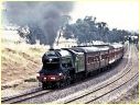 Flying Scotsman,4472,Bowser,Springhurst