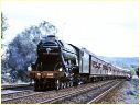 Flying Scotsman,4472,Albury