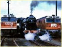 Flying Scotsman,4472,42208,8173,Albury